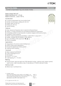 B82721K2132U030 Datasheet Pagina 2