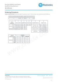 M55342E12B22B6R Datasheet Page 3