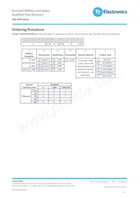 M55342E12B22B6R Datasheet Pagina 3