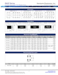 RACF324DFT1K00 Datasheet Pagina 2