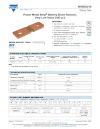 WSBS5216L1000KT Datasheet Cover