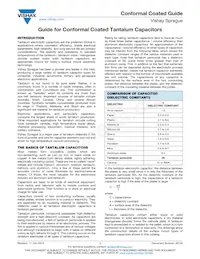 195D107X9010H2T Datasheet Page 11