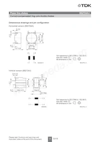 B82724J2602N041 Datasheet Page 3