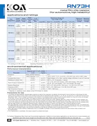 RN73H1ETTP1002C10 Datasheet Pagina 2