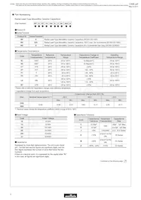 RPER72A104K3M1C07A Datasheet Page 4