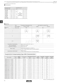 RPER72A104K3M1C07A Datasheet Pagina 22