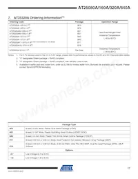 AT25320AY6-10YH-1.8 Datasheet Pagina 17