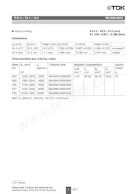 B64290L0058X830 Datasheet Pagina 2