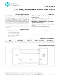 DS3065WP-100IND+ Datenblatt Cover