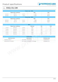 E42/21/20-3C95-G500 Datasheet Pagina 2