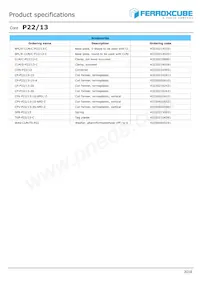 P22/13-3C91數據表 頁面 2