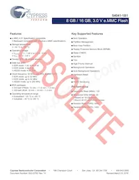 S40410161B1B2W013 Datasheet Pagina 2