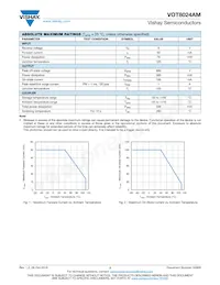 VOT8024AM-VT2 Datenblatt Seite 2