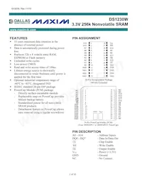 DS1230W-100IND Datasheet Copertura