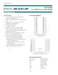 DS1250W-100IND Datenblatt Cover