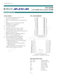 DS1250W-100IND數據表 封面