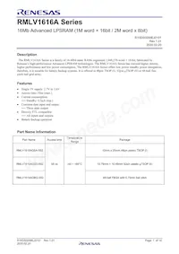 RMLV1616AGSD-5S2#HC0 Datasheet Copertura