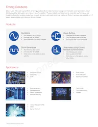 SL2309NZSI-1T Datasheet Pagina 2