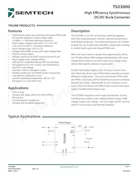 TS33000-M018QFNR Datasheet Copertura