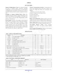 HPM10-W29A100G Datasheet Pagina 2