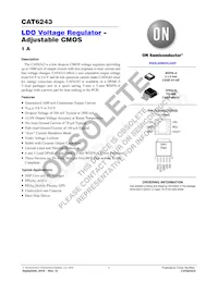 CAT6243DCADJ-RKG Datasheet Copertura