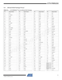 AT91RM9200-QI-002-T Datenblatt Seite 11