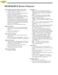 MC9S08JM8CGT Datasheet Pagina 5