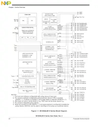 MC9S08JM8CGT Datasheet Pagina 22