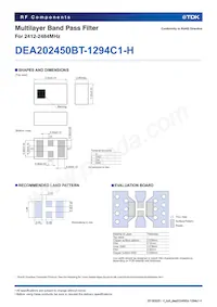 DEA202450BT-1294C1-H Datasheet Page 2