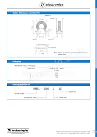 HM13-20003LF Datasheet Pagina 2