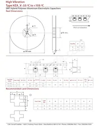 HZA226M080F24VT-F數據表 頁面 4