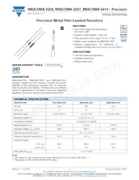 MBB0207VE1004BCT00 Datasheet Cover