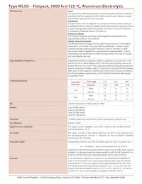 MLSG561M250EB0C Datenblatt Seite 2