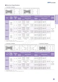 RM3216B-104/304-NWWP10 Datasheet Pagina 2