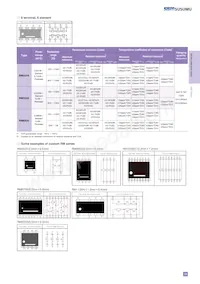 RM3216B-104/304-NWWP10 Datasheet Pagina 4