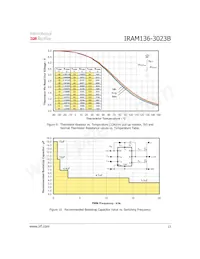 IRAM136-3023B Datenblatt Seite 13