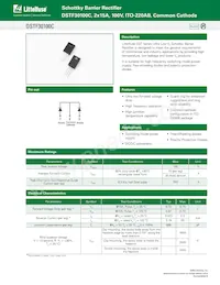 DSTF30100C Datenblatt Cover