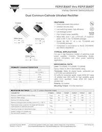 FEP6DT-5410HE3/45 Datasheet Copertura