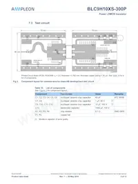 BLC9H10XS-300PY Datasheet Page 5