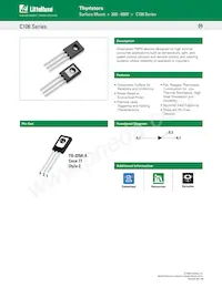 C106MG Datenblatt Cover