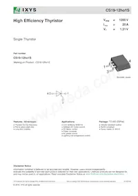 CS19-12HO1S-TUB Datasheet Copertura