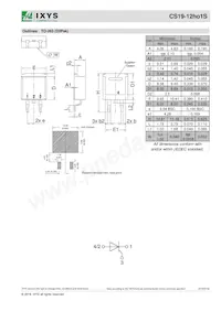 CS19-12HO1S-TUB Datasheet Page 4