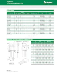 S6010RS3 Datasheet Page 10