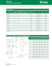 S6010RS3 Datasheet Pagina 10