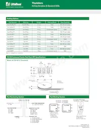 S6010RS3 Datasheet Pagina 13