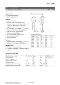 B59890C0160A051 Datenblatt Seite 2