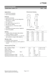 B59965C0160A054 Datenblatt Seite 2