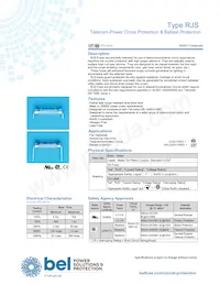 RJS 600-R SHORT數據表 封面