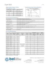 RJS 600-R SHORT Datenblatt Seite 2