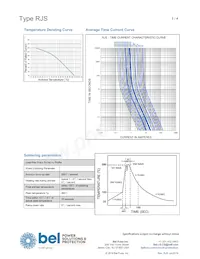 RJS 600-R SHORT Datasheet Pagina 3